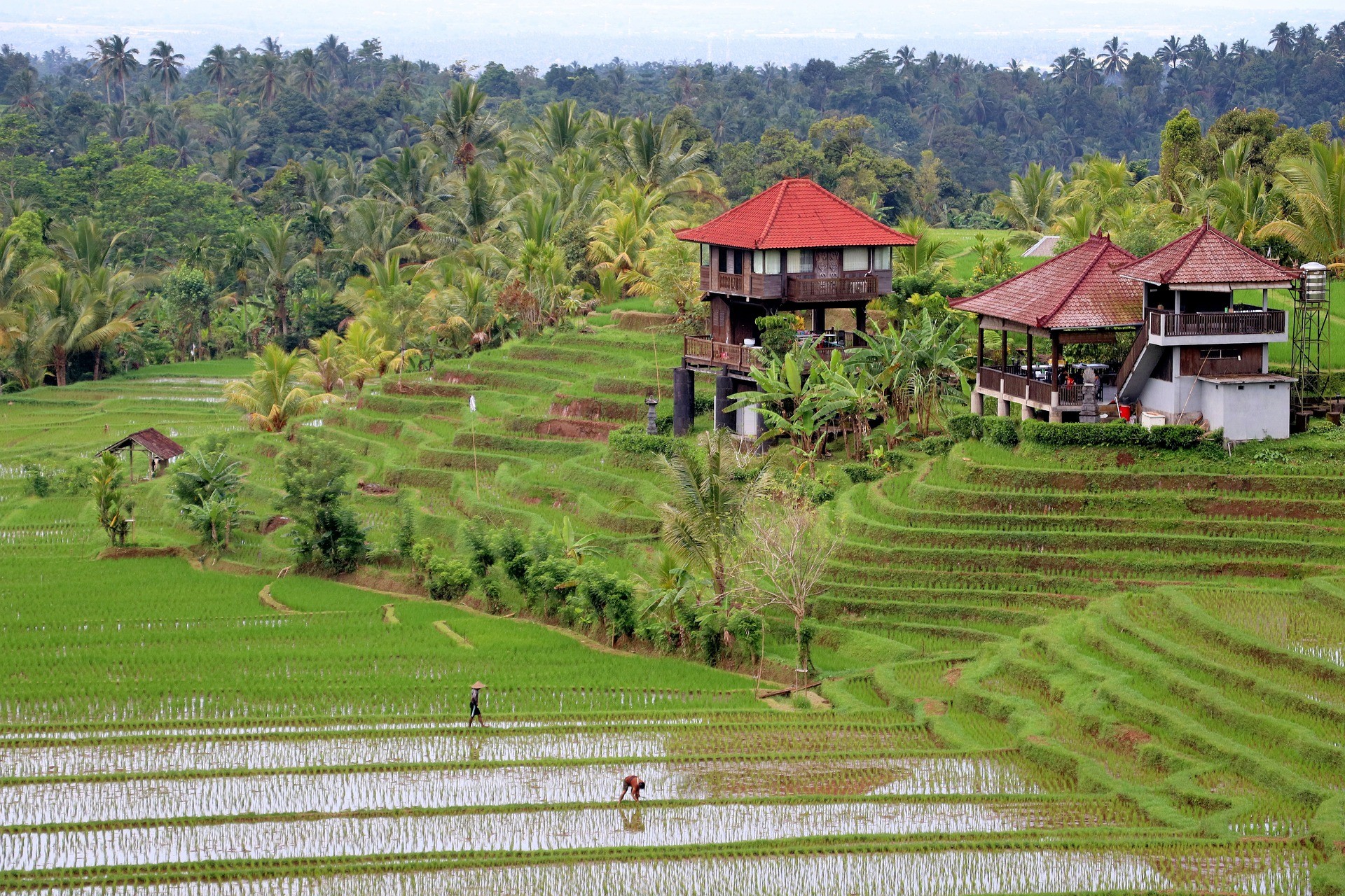 Investing in Bali, Indonesia