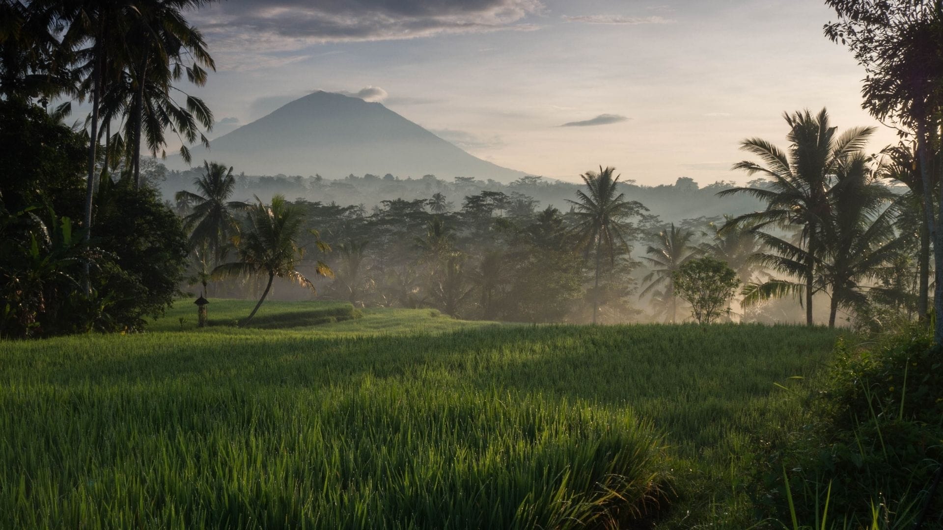 Best Architecture In Bali