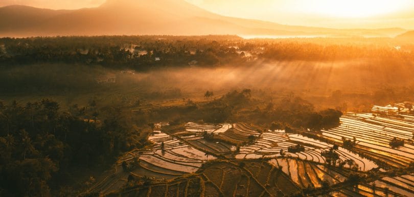 Sustainable Architecture Design in Bali